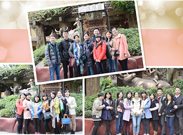 公司团建新玩法！顺德长鹿之旅，解锁欢乐与团队默契的双重升级！